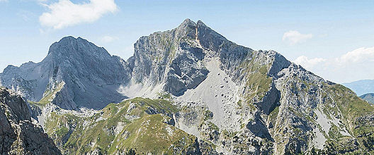 Customization Design