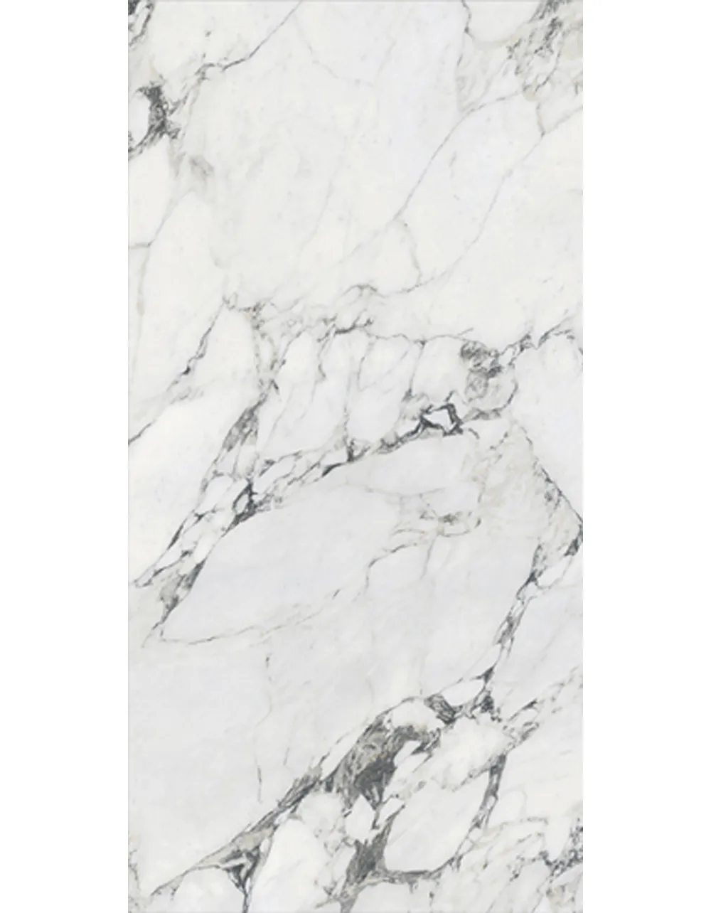 YR2342 Light-Veined Bulgari White